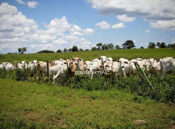 Imagem 1 · Fazenda