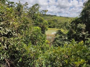 Imagem 1 · Chácara para venda em Setor Central, Santa Cruz de Goiás