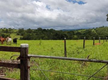 Imagem 1 · Fazenda