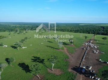 Imagem 1 · Fazenda