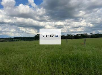 Imagem 1 · Fazenda