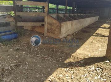 Imagem 1 · Fazenda