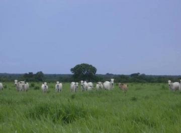 Imagem 1 · Fazenda