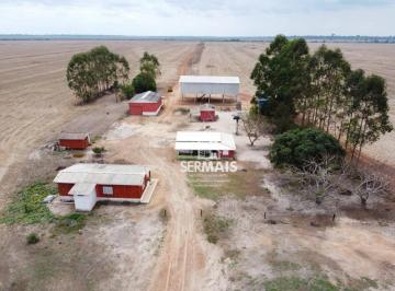 Imagem 1 · Fazenda