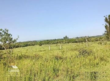 Imagem 1 · Fazenda