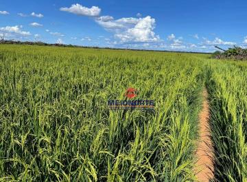 Imagem 1 · Fazenda