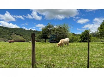 Imagem 1 · Fazenda