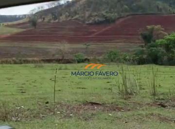 Imagem 1 · Fazenda