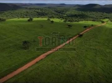 Imagem 1 · Fazenda