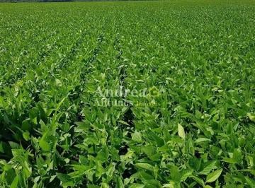 Imagem 1 · Fazenda