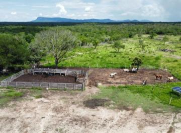 Imagem 1 · Fazenda