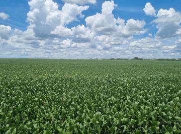 Imagem 1 · Fazenda