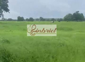 Imagem 1 · Fazenda