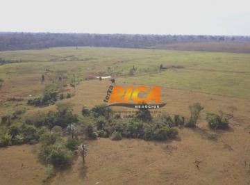 Imagem 1 · Fazenda