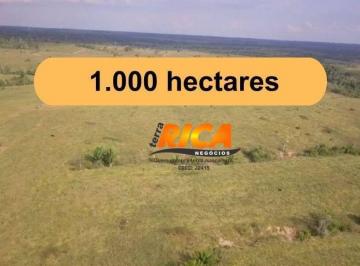 Imagem 1 · Fazenda