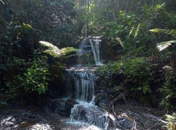 Imagem 1 · Fazenda