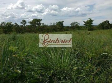 Imagem 1 · Fazenda