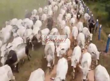 Imagem 1 · Fazenda