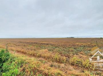 Imagem 1 · Fazenda