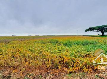Imagem 1 · Fazenda