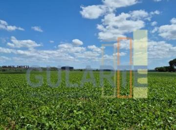 Imagem 1 · Fazenda
