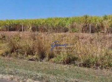Imagem 1 · Fazenda
