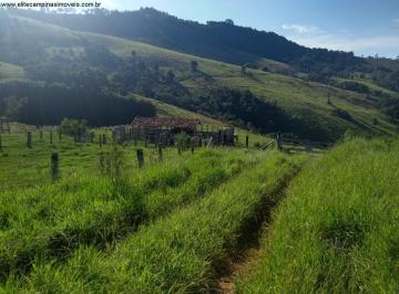 Imagem 1 · Fazenda