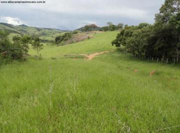 Imagem 1 · Fazenda