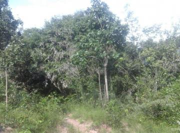 Imagem 1 · Fazenda para venda em Centro, Lizarda