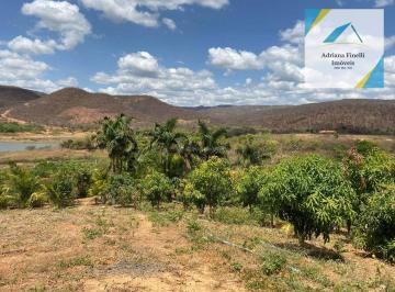 Imagem 1 · Fazenda