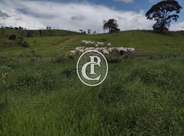 Imagem 1 · Fazenda para venda em Área Rural de Guaratinguetá, Guarating
