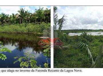 Imagem 1 · Fazenda