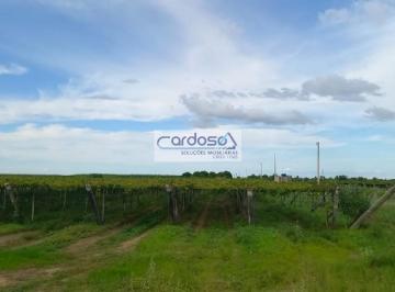 Imagem 1 · Fazenda