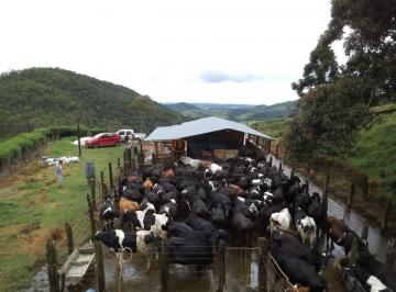 Imagem 1 · Fazenda