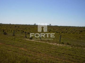 Imagem 1 · Fazenda para venda em Centro, São Félix do Araguaia