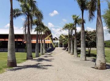 Imagem 1 · Fazenda