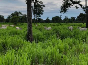 Imagem 1 · Fazenda