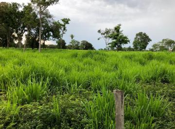 Imagem 1 · Fazenda