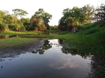 Imagem 1 · Fazenda