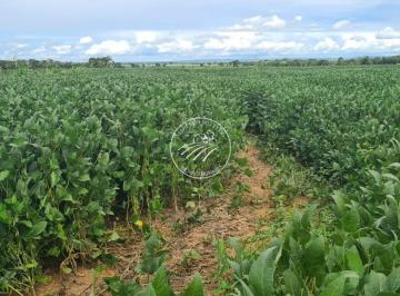 Imagem 1 · Fazenda
