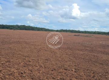 Imagem 1 · Fazenda