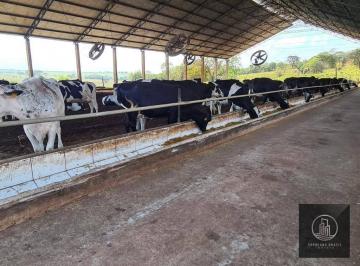 Imagem 1 · Fazenda