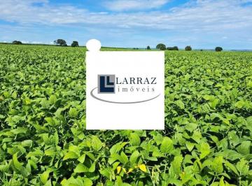 Imagem 1 · Fazenda