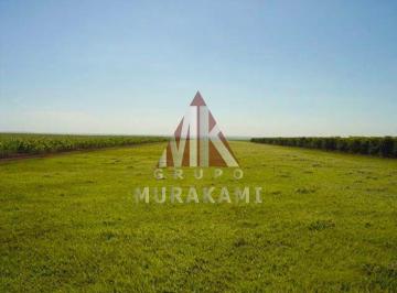 Imagem 1 · Fazenda