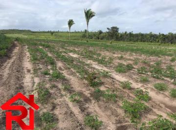 Imagem 1 · Fazenda