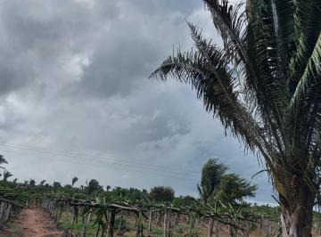 Imagem 1 · Fazenda