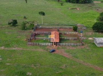 Imagem 1 · Fazenda