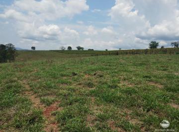 Imagem 1 · Fazenda
