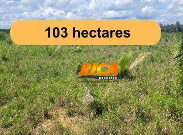 Imagem 1 · Fazenda