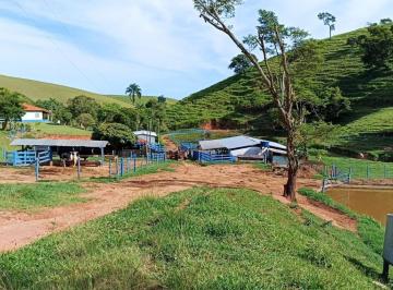 Imagem 1 · Fazenda